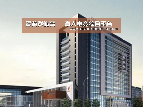 爱游戏娱乐案例展示四