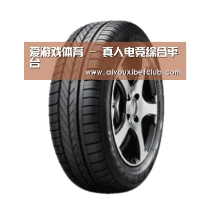 爱游戏娱乐产品名称一