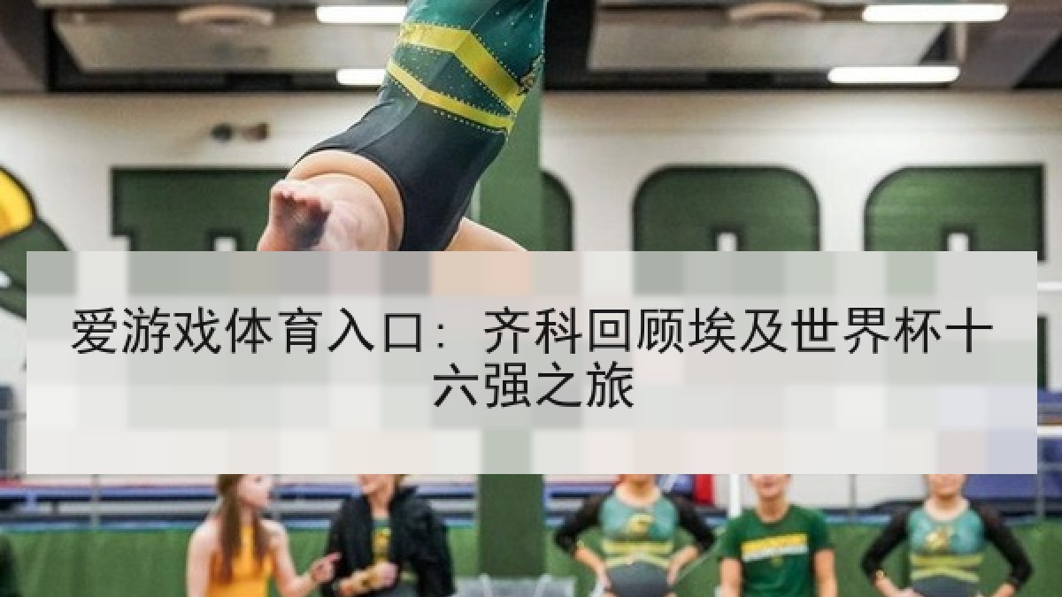 爱游戏体育入口: 齐科回顾埃及世界杯十六强之旅