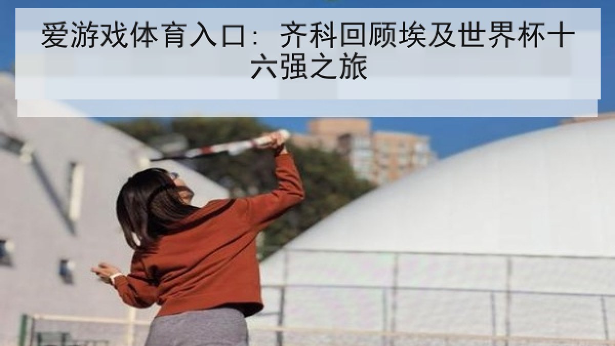 爱游戏体育入口: 齐科回顾埃及世界杯十六强之旅