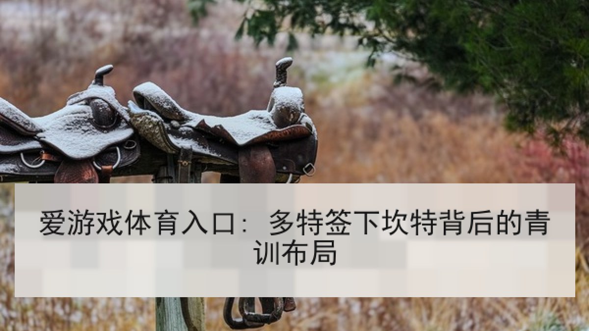 爱游戏体育入口: 多特签下坎特背后的青训布局 爱游戏体育入口: 多特签下坎特背后的青训布局