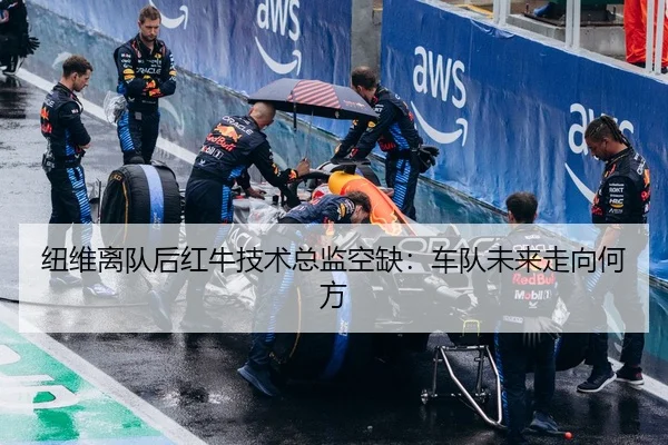 纽维离队后红牛技术总监空缺：车队未来走向何方