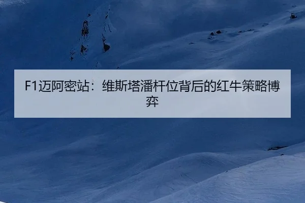 mai-a-mi-zhan-wei-si-ta-pan-gan-wei-bei-hou-de-hong-niu-ce-lve-bo-yi-3-858.jpg