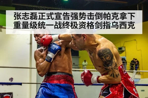 张志磊正式宣告强势击倒帕克拿下重量级统一战终极资格剑指乌西克