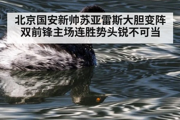 北京国安新帅苏亚雷斯大胆变阵双前锋主场连胜势头锐不可当