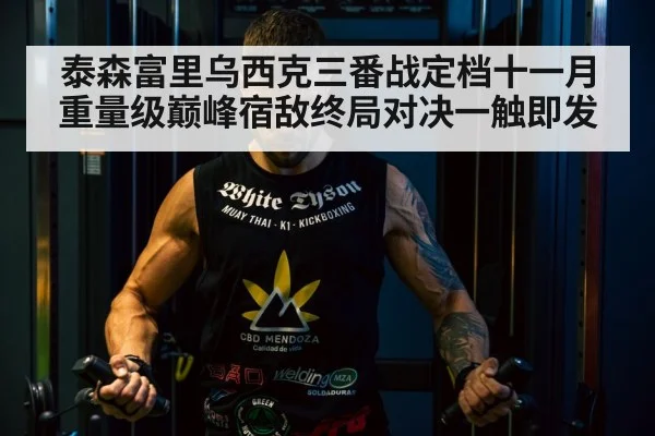 泰森富里乌西克三番战定档十一月重量级巅峰宿敌终局对决一触即发
