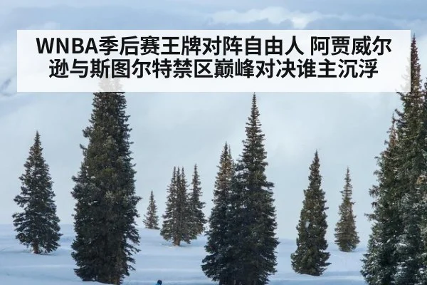 WNBA季后赛王牌对阵自由人 阿贾威尔逊与斯图尔特禁区巅峰对决谁主沉浮