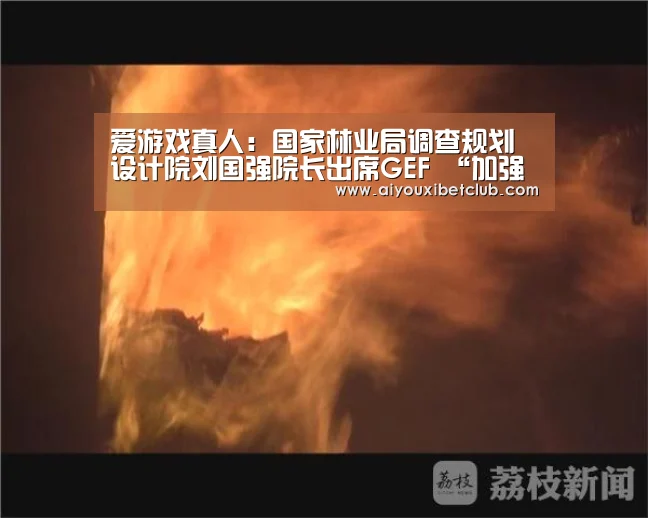 爱游戏真人:国家林业局调查规划设计院刘国强院长出席GEF “加强中国湿地保护体系,保护生物多样性规划型项目”指导委员会第四次会议(图1) 爱游戏百家乐